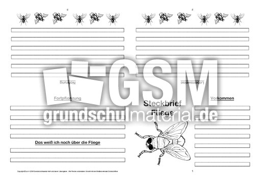 Fliege-Faltbuch-vierseitig-2.pdf